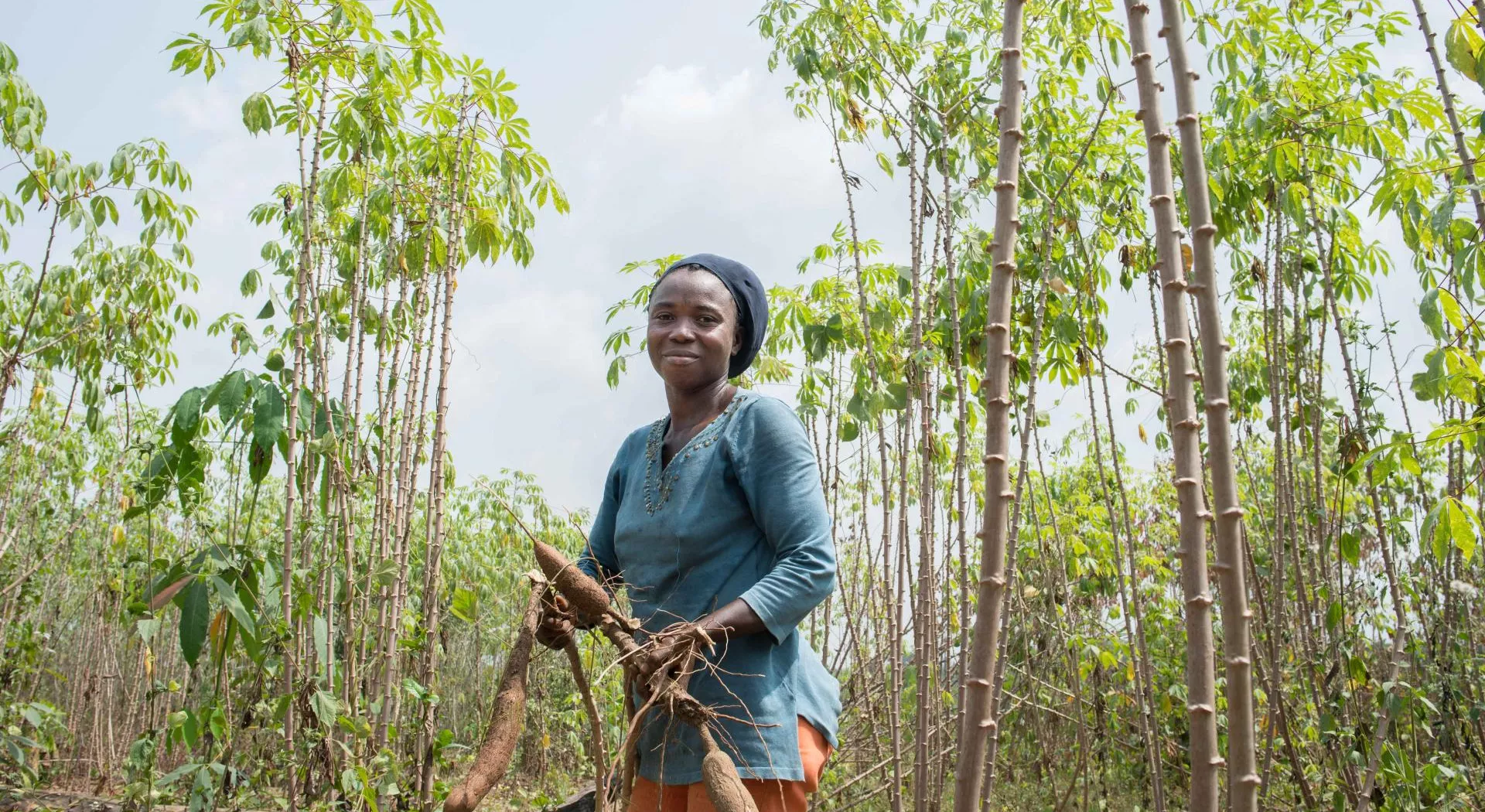 Liberia: a women working on the fields