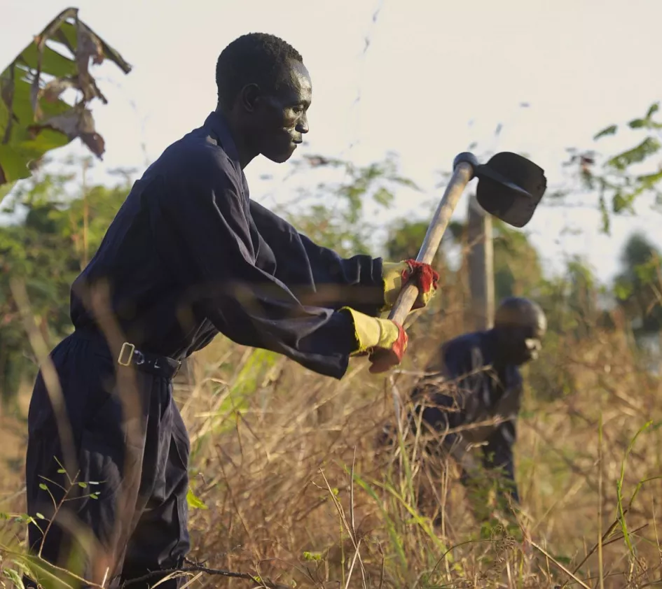 Förderung für den Sudan: Landwirt beackert ein Feld