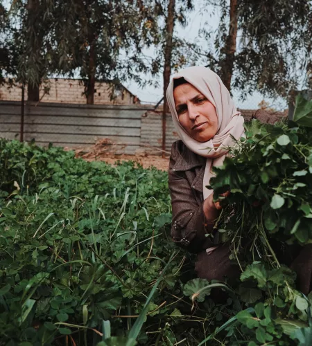Weltflüchtlingstag: Irakische Frau in ihrem selbst gepflanzten Gemüsegarten