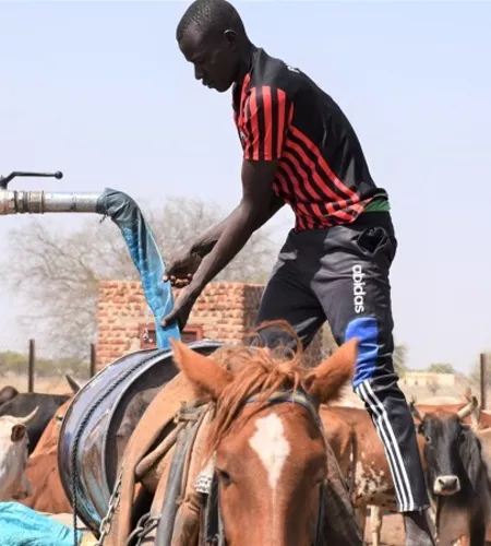 Hussein transportiert Wasser auf seinem Esel