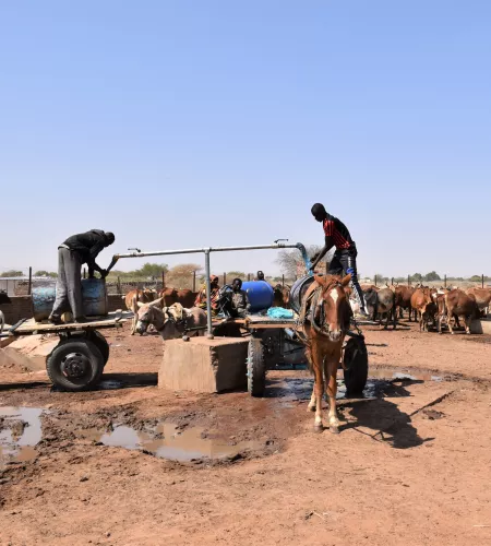 Menschen im Sudan gegen den Klimawandel stärken: Zwei Männer holen mit ihren Viehtransportanhängern Wasser von einer Wasserstelle.