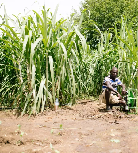 Weltflüchtlingstag: Solarbetriebenes Bewässerungssystem auf einem ugandischen Feld