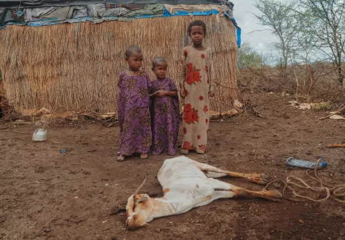 Schlimmste Dürre seit 40 Jahren: Afrikanicshe Kinder stehen vor einer toten Ziege