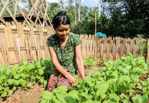 Das tut ZOA: Frau in Indonesien erntet aus ihrem eigenen Hausgarten