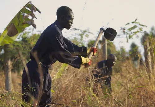 Förderung für den Sudan: Landwirt beackert ein Feld